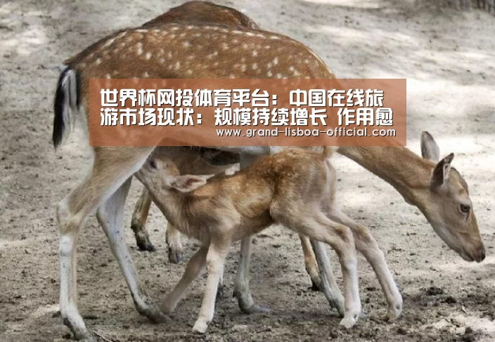 世界杯网投体育平台:中国在线旅游市场现状:规模持续增长 作用愈发重要(图1) 世界杯网投APP下载