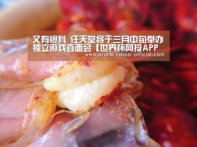 又有爆料 任天堂将于三月中旬举办独立游戏直面会【世界杯网投APP下载】(图1) 世界杯网投平台