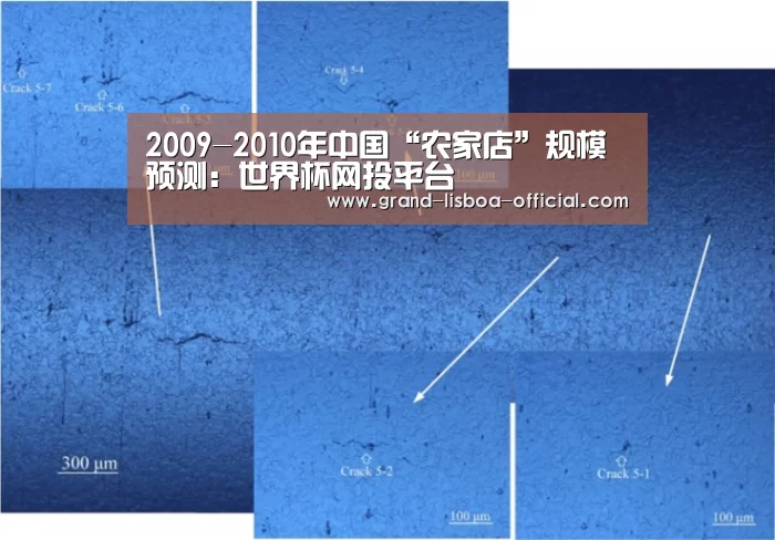 世界杯网投平台