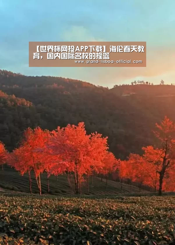 【世界杯网投APP下载】海伦春天教育,国内国际名校的摇篮(图2) 世界杯网投APP下载