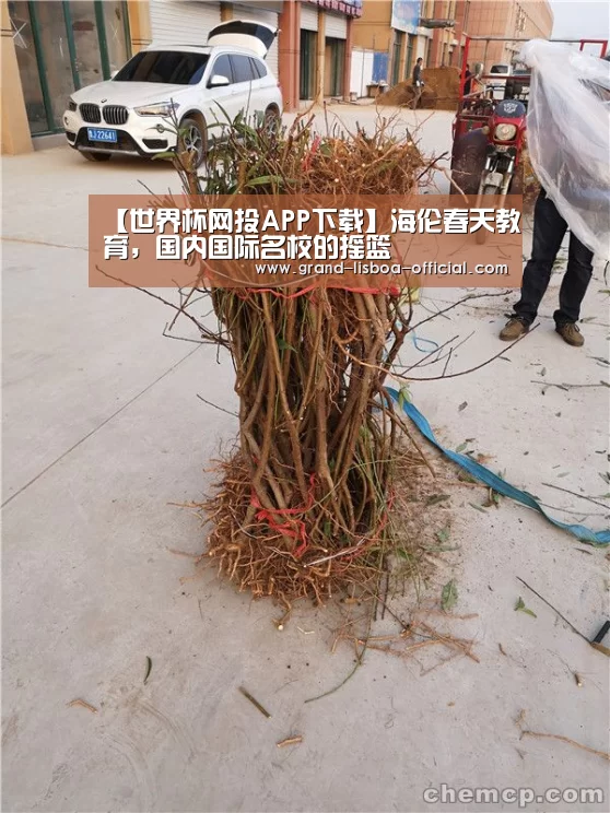 【世界杯网投APP下载】海伦春天教育,国内国际名校的摇篮(图1) 世界杯网投平台