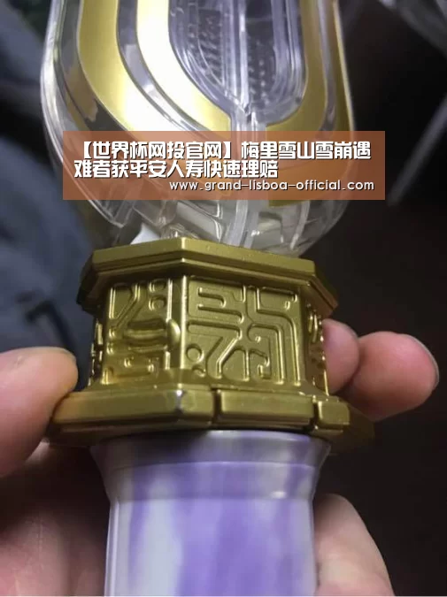 世界杯网投APP下载