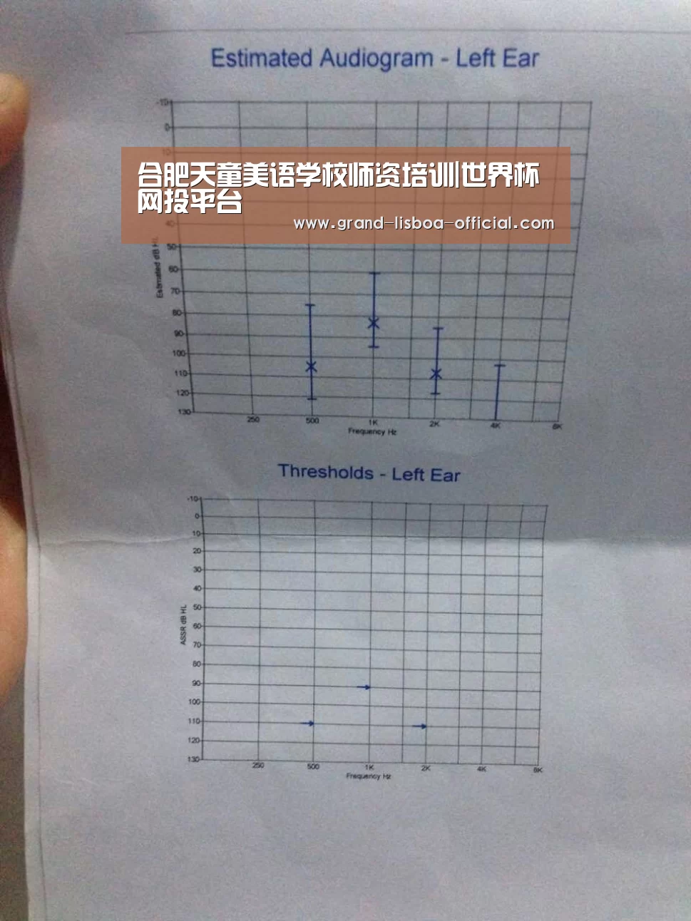 世界杯网投官网