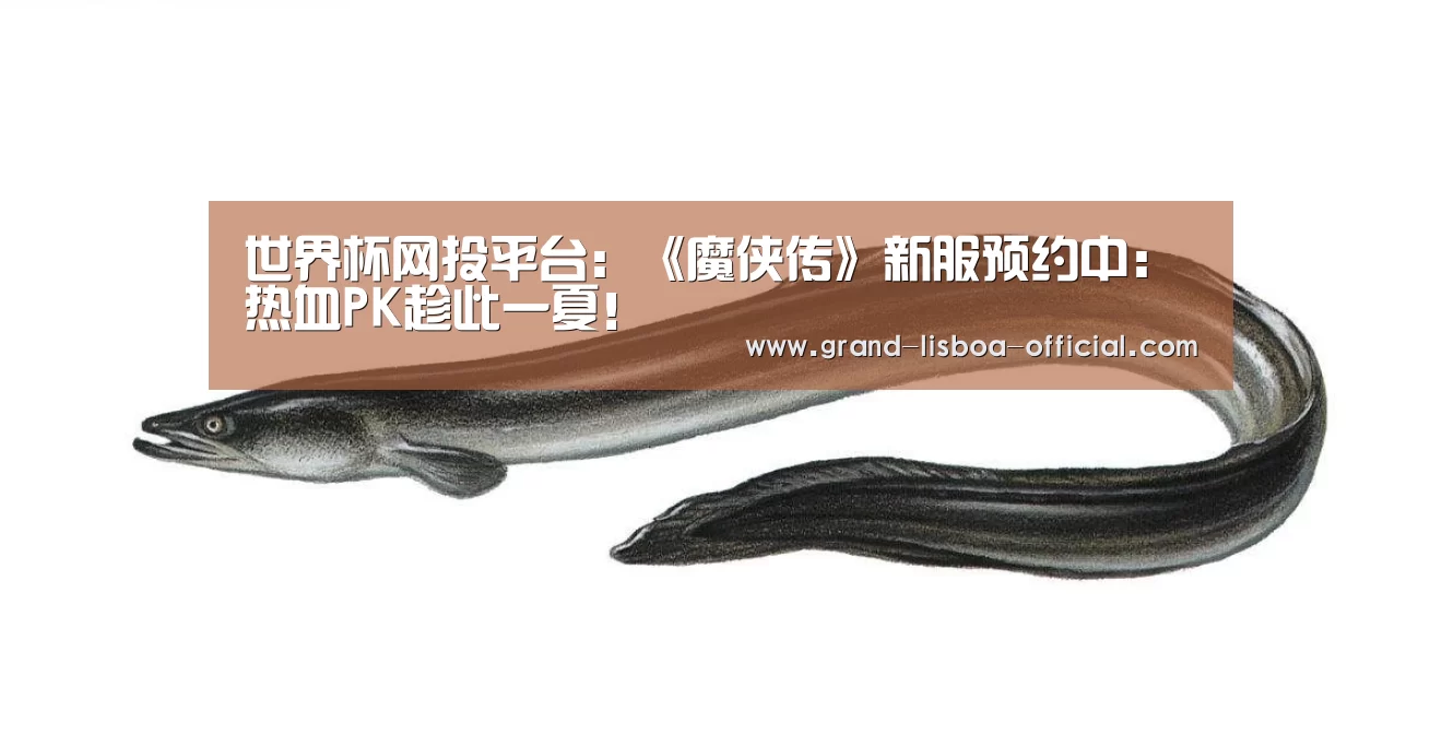 世界杯网投平台:《魔侠传》新服预约中:热血PK趁此一夏!