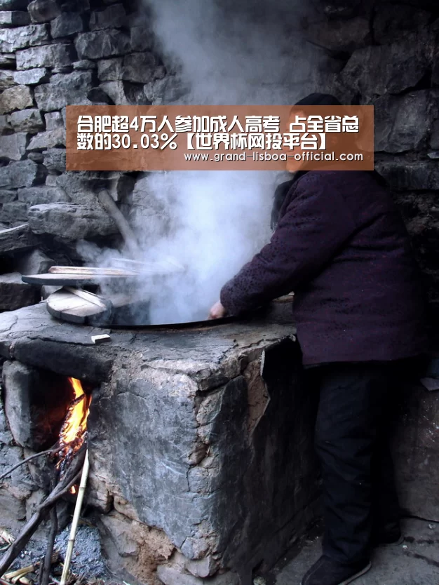 合肥超4万人参加成人高考 占全省总数的30.03%【世界杯网投平台】(图4) 世界杯网投官网