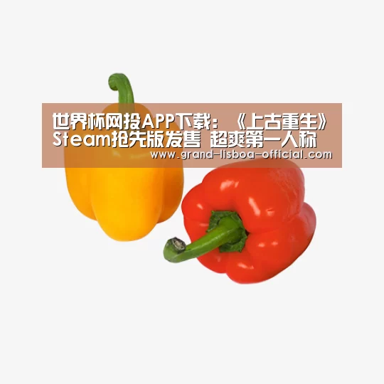 世界杯网投平台