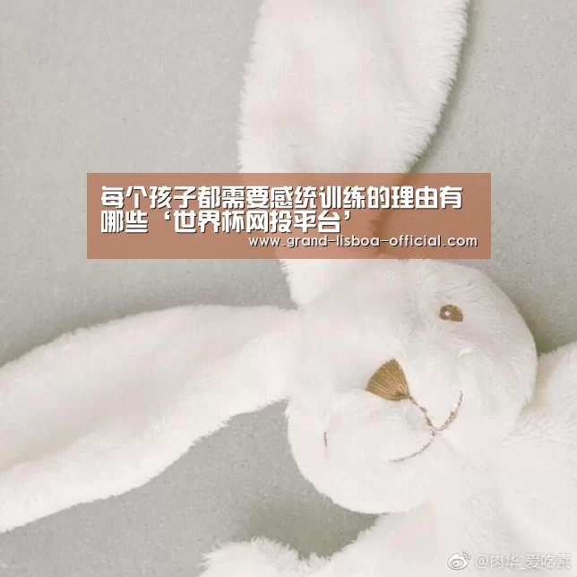 每个孩子都需要感统训练的理由有哪些‘世界杯网投平台’(图1) 世界杯网投平台
