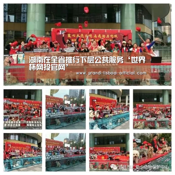 湖南在全省推行下层公共服务‘世界杯网投官网’(图2) 世界杯网投官网
