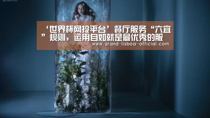 世界杯网投平台