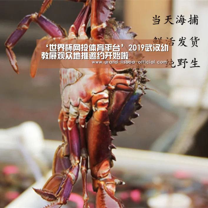 ‘世界杯网投体育平台’2019武汉幼教展观众地推邀约开始啦