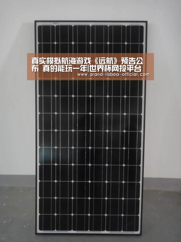 真实模拟航海游戏《远航》预告公布 真的能玩一年|世界杯网投平台(图4) 世界杯网投APP下载