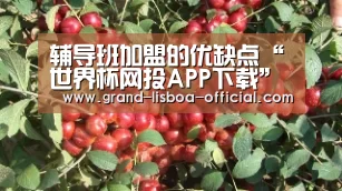 辅导班加盟的优缺点“世界杯网投APP下载”(图1) 世界杯网投APP下载