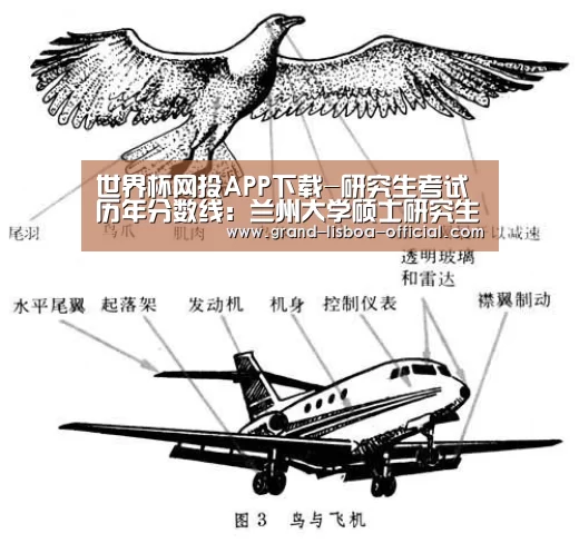 世界杯网投平台