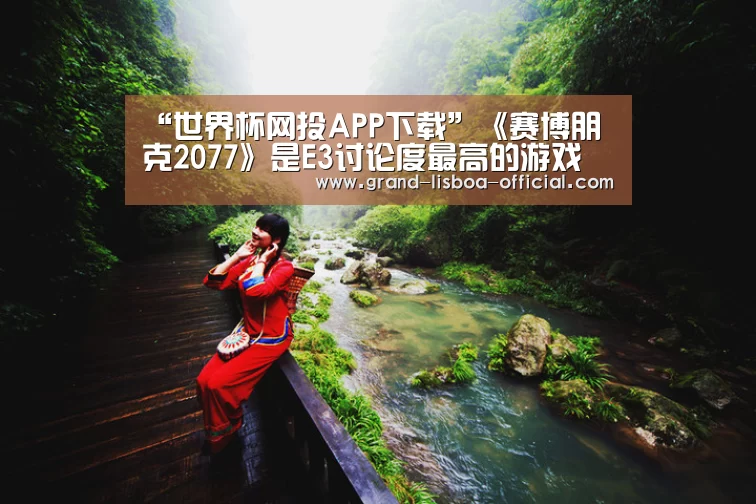 世界杯网投平台