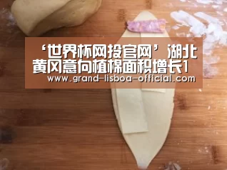 ‘世界杯网投官网’湖北黄冈意向植棉面积增长16.91%(图4) 世界杯网投APP下载