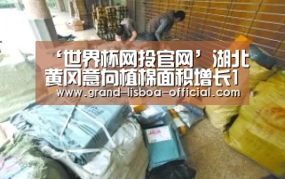 ‘世界杯网投官网’湖北黄冈意向植棉面积增长16.91%(图3) 世界杯网投APP下载