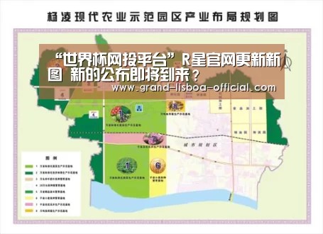 世界杯网投官网
