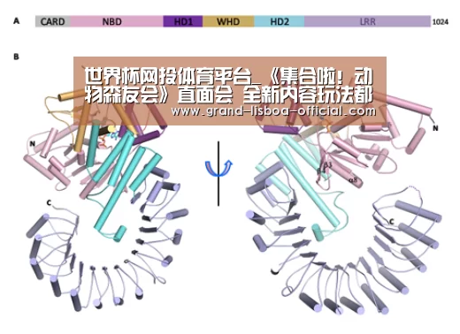 世界杯网投体育平台_《集合啦!动物森友会》直面会 全新内容玩法都知晓!(图1) 世界杯网投平台