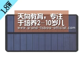 天向教育,专注于培养2-10岁儿童的核心学习能力:世界杯网投APP下载(图1) 世界杯网投官网