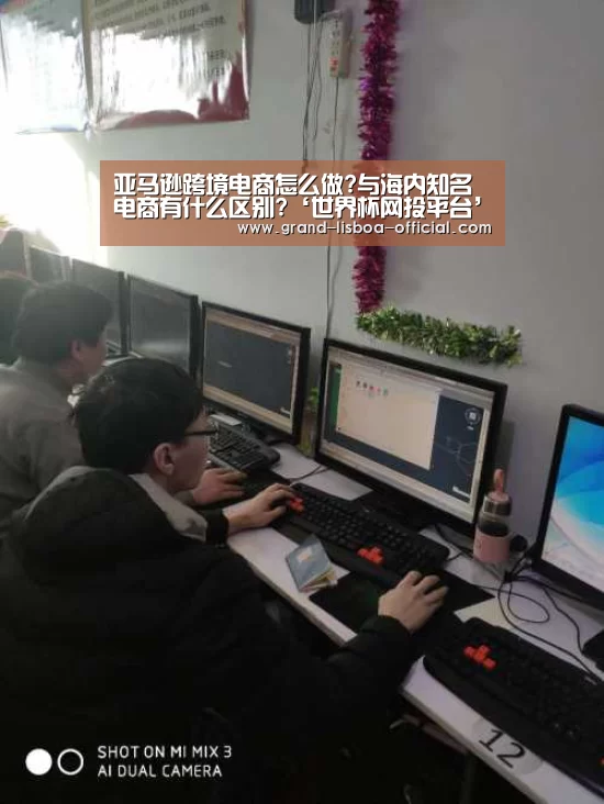 世界杯网投平台